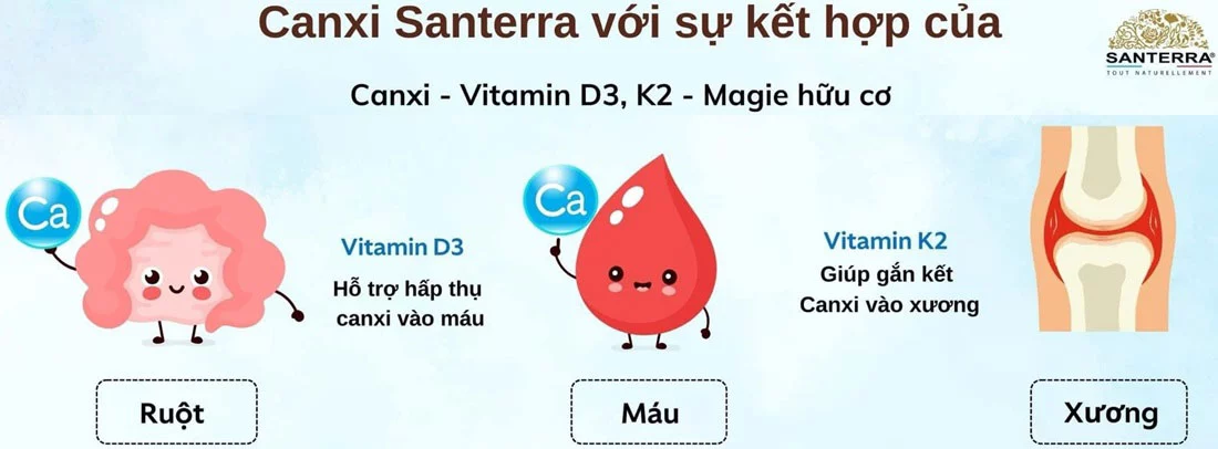 Canxi Santerra Calcium Complexe