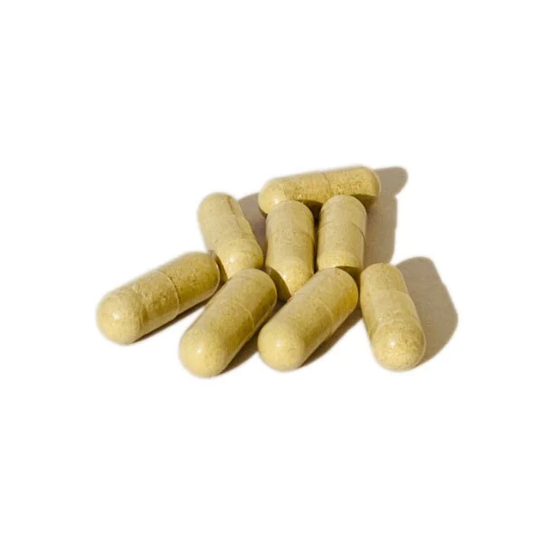 Bổ não Santerra Ginkgo Complexe