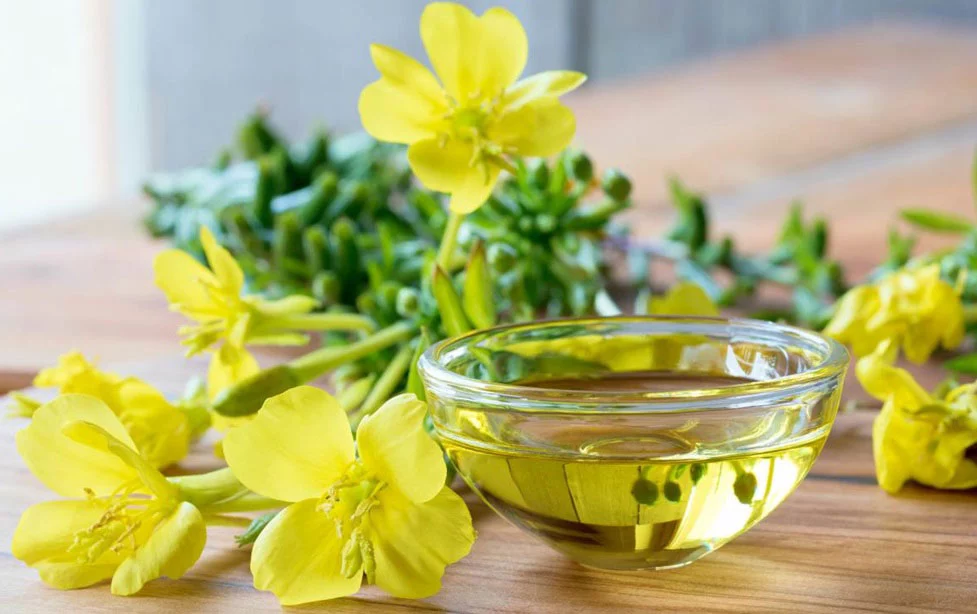Cong dung cua tinh dau hoa anh anh thao 2 Tính chất, thành phần và lợi ích của tinh dầu hoa Anh thảo